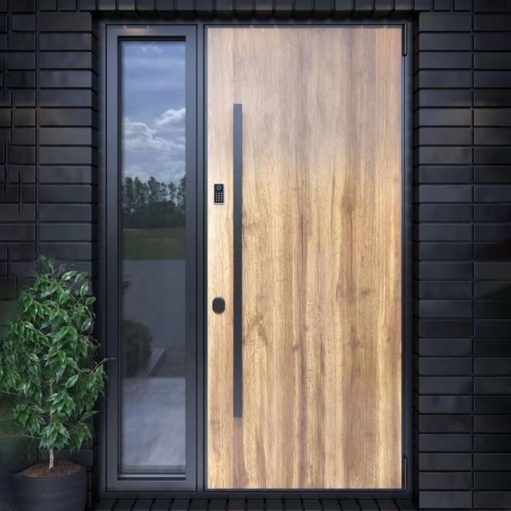 Modern Casting Aluminum Glass Soundproof weather resistance Pivot Front Entrance Doors