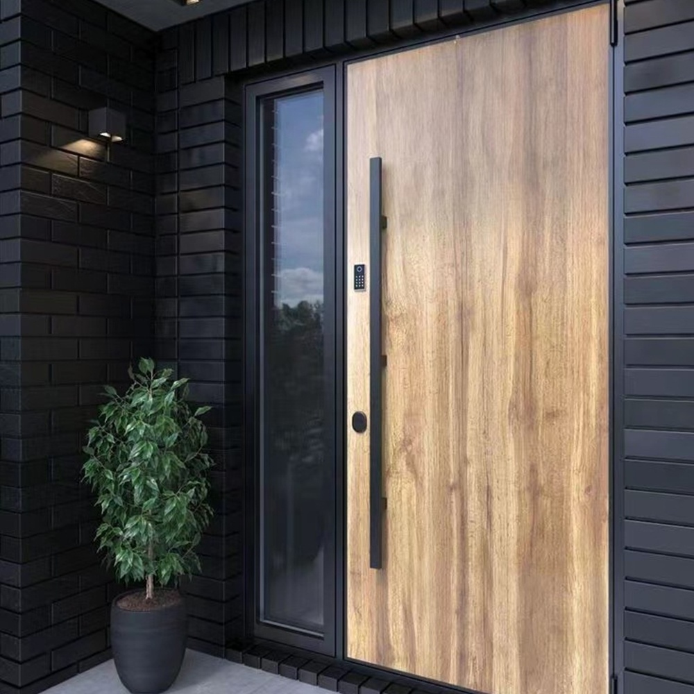 Modern Casting Aluminum Glass Soundproof weather resistance Pivot Front Entrance Doors