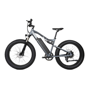 Customized high quality electric mountain bike hub motor e-bike fat tire MTB