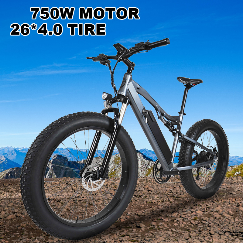 Customized high quality electric mountain bike hub motor e-bike fat tire MTB