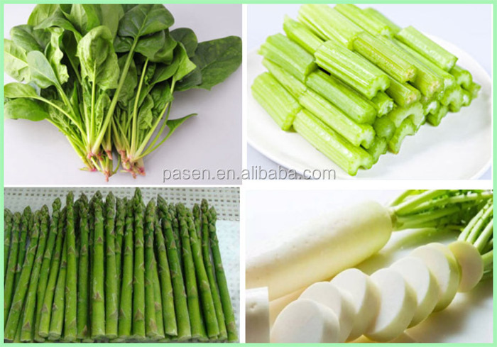 Long beans segments cutting machine Scallion root cutter Green onion root cutter price