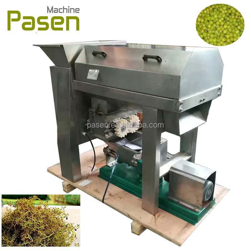 Grape stem separator / Grape destemmer machine / Grape stems removing machine