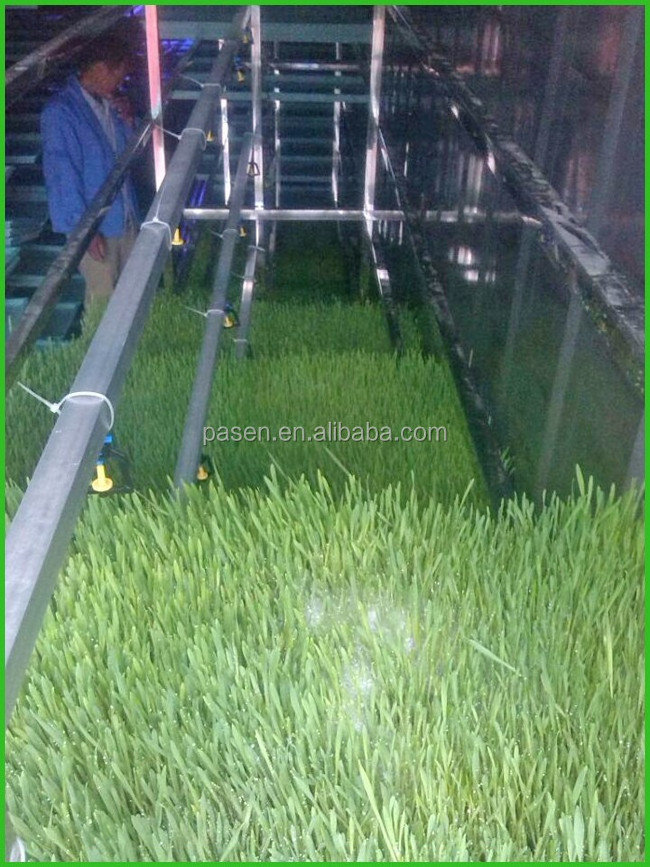 50-1000kg/day Livestocks Hydroponic Barley Fodder System Animal Fodder Alfalfa Grass Sprouting Machine