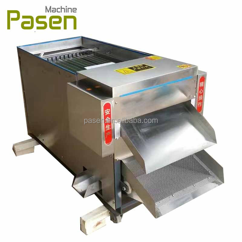 Chili cutting and seeds removing machine | Pepper chilli slicer