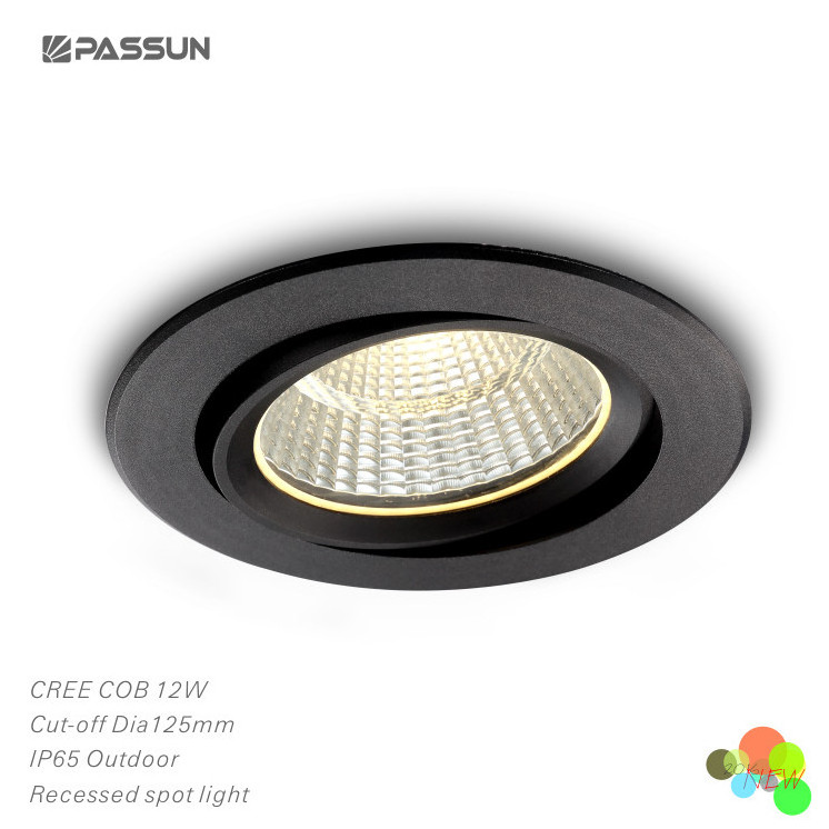 5w aluminium painted black waterproof ceiling recessed mounted adjustable LED outdoor down light