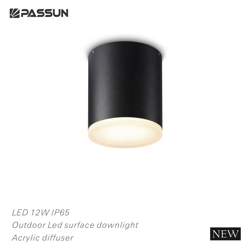 Outdoor black acrylic aluminum IP65 waterproof ceiling down light exterior garden surface mounted led ceiling light