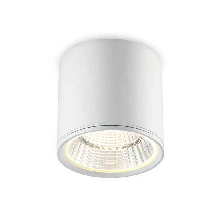 Cylinder LED Downlights Black Aluminium Hotel 5w 12w Ceiling Surface Mounted Recessed Led Cob Down Light