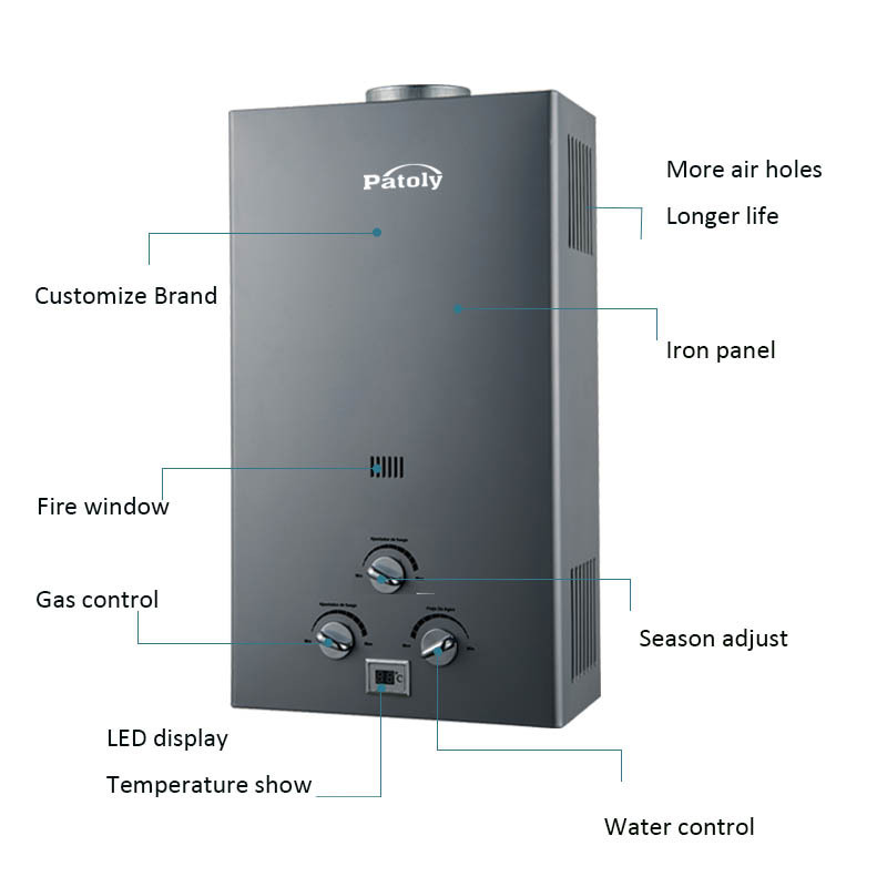 China hot sales low price natural gas hot water heaters 5L-12L LPG NG instant tankless forced exhaust type gas boiler for home