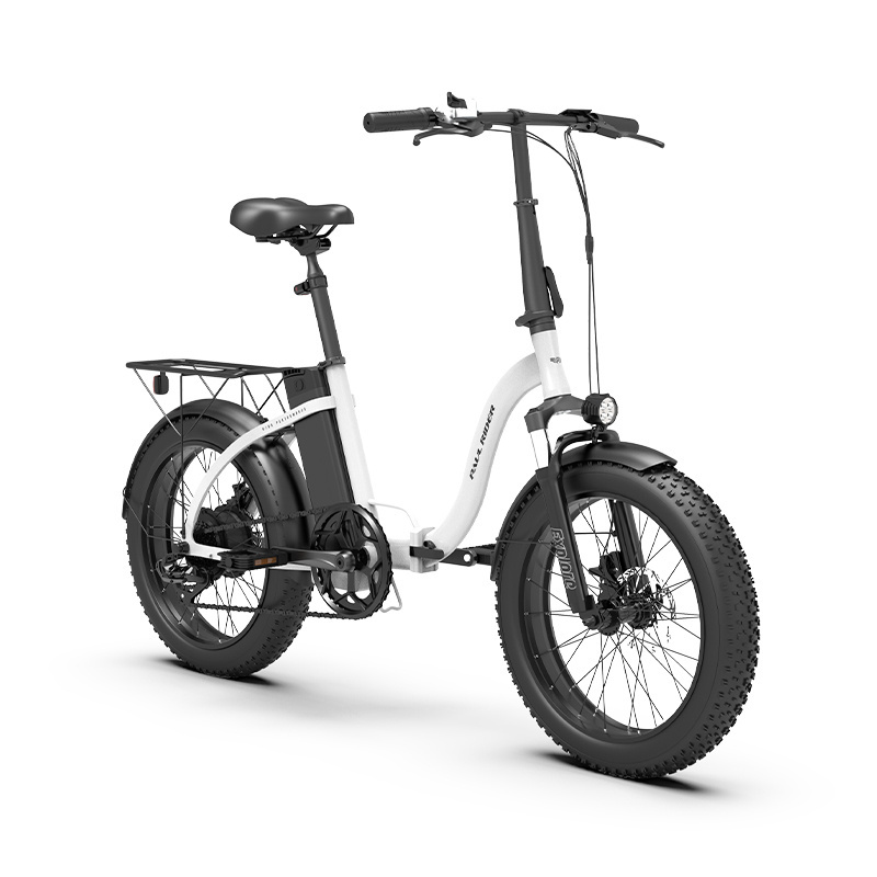 7 speed 48V 350W 500W 750W 10AH 20'' Folding ebike snow step through Bicycle Electric fat tire electric e Bike