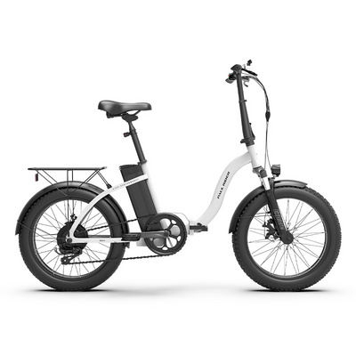 7 speed 48V 350W 500W 750W 10AH 20'' Folding ebike snow step through Bicycle Electric fat tire electric e Bike