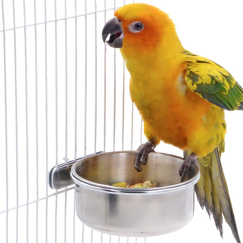 Bird Feeding Cups with Clamp Holder, Parrot Food & Water Cage Hanging Bowl Stainless Steel Coop Cup Dish Feeder for Parakeet