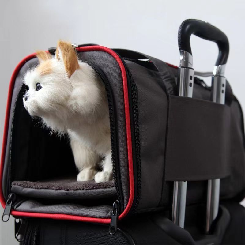 Wholesale Collapsible Pet Products Dog Cat Outside Carry Mesh carrier Crate Cage Travel Bag