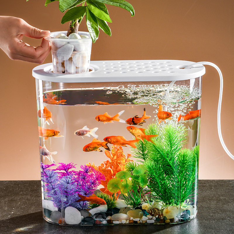 Plastic PET material thickened living room fish tank high transparent small desktop fish tank