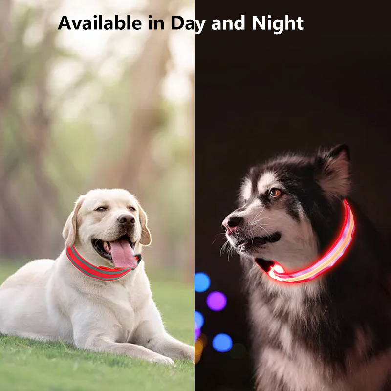 Luxury Custom Waterproof Flashing Light Up Reflective Pet Collar Adjustable USB Type-C Recharge LED Dog Luminous Collar for Dog