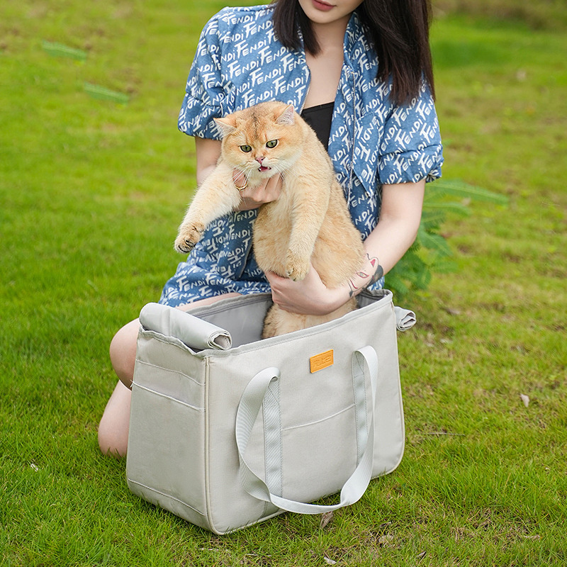 Outdoor Portable Pet Bag Breathable Mesh Tote Bag Pet Carriers Travel Bag for Cats