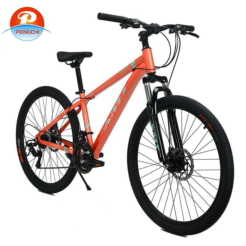 NEW mountain bike OEM 29 inch high carbon steel frame 21 speed mtb bike bicicletas mountain bike 29