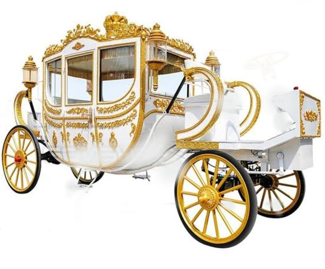 Indian Wedding Horse Buggy Wedding Royal Golden Horse Drawn Bagghi Wedding Horse Drawn Carriages indian Manufacturer of buggi