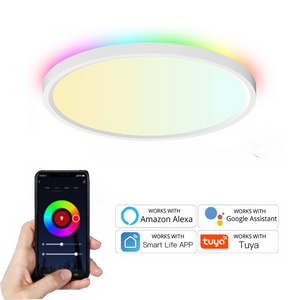 24W WIFI Tuya Smart LED Ceiling Light Work with Alexa Google Assistant Easy Installation Indoor Home Light Ceiling