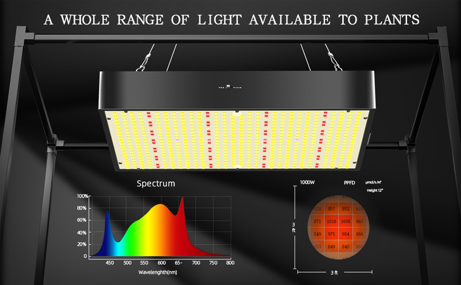 Full spectrum 100w  200W Led grow light manufacturer greenhouse  hydroponic vertical farming