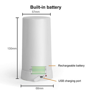 Decorative garden lamp USB Rechargeable battery  led Flickering Flame Light For Outdoor Camping Rechargeable Flame Lamp