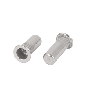 Chinese screw manufacture Solid Stainless Steel Rivet Solid Steel metal rivet