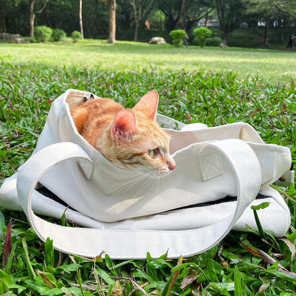 OEM factory travel small Pet Bag Portable Dog Cat Carrier Bag carrying bag pet cat carrier backpack Canvas Mesh