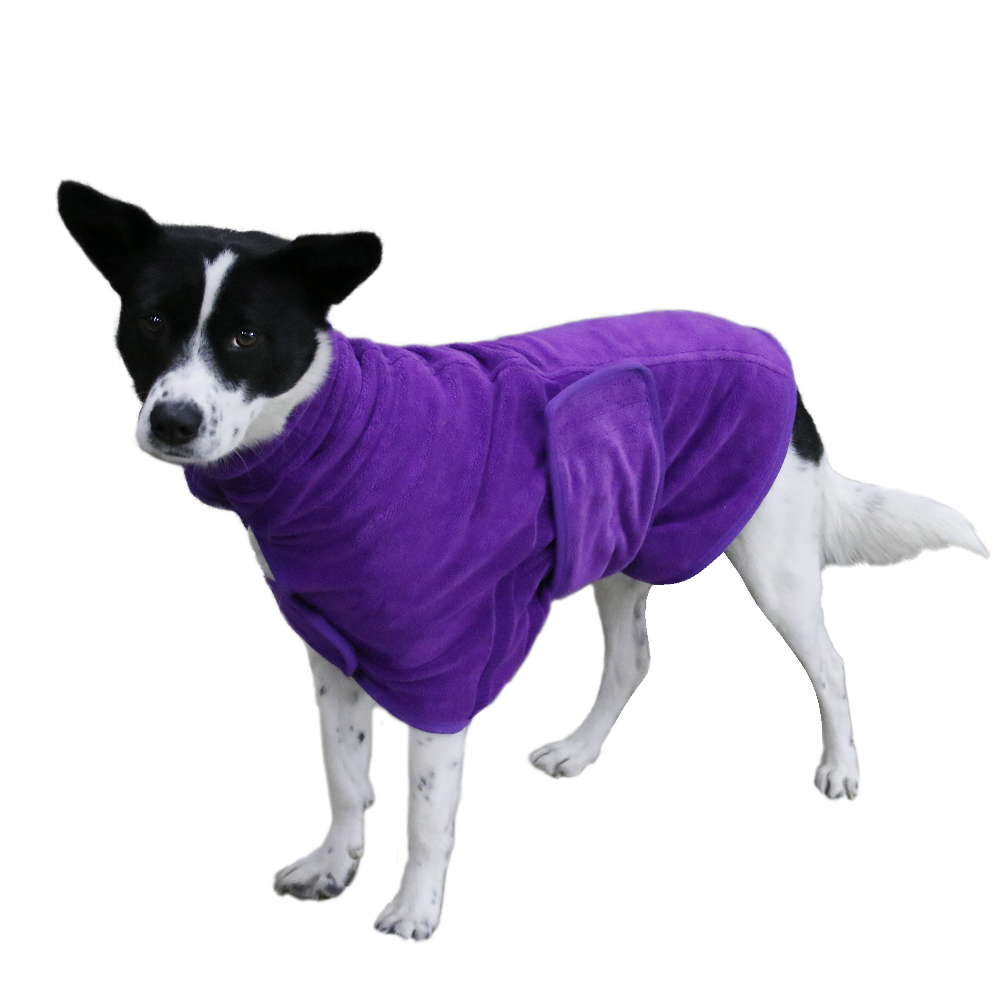 OEM ropa de perro High quality luxury dog clothes pet clothes bulk dog bathrobe