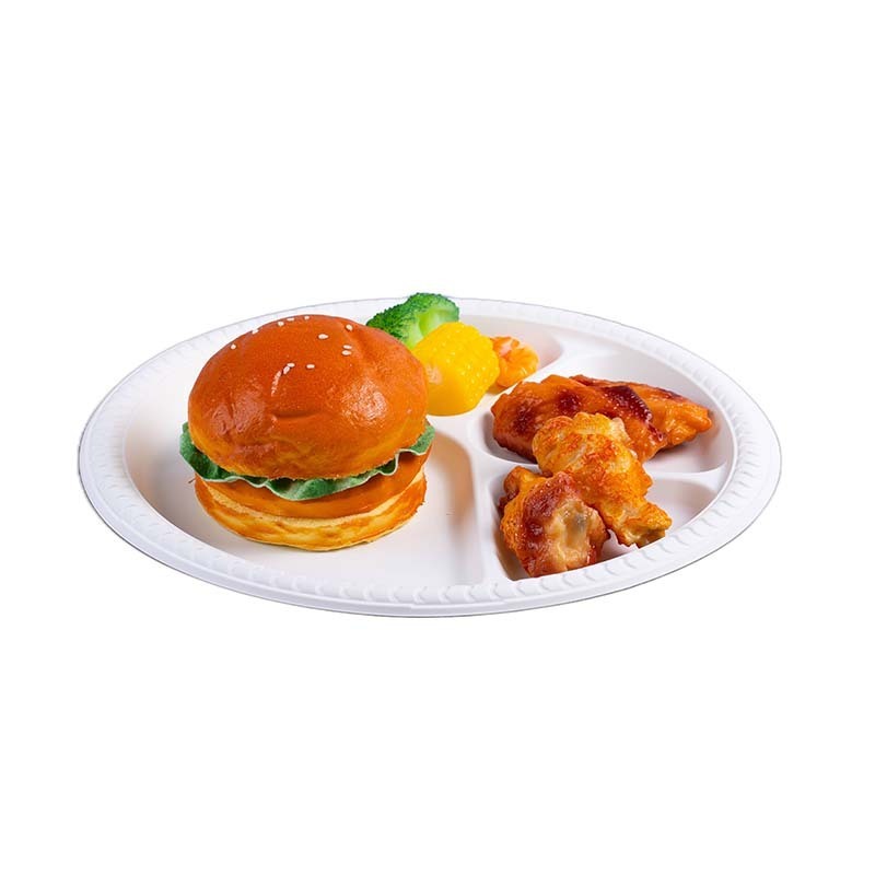 Biosano Plastic Plates Box Set For Picnic Dinnerware Square Disposable Tableware With Lid Compartment Plate Party Packing Food