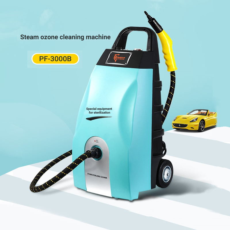 Professional Portable function in one carpet cleaning machine sofa curtain car interior mattress vacuum steam cleaner