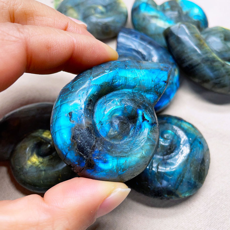 Wholesale Natural Crystal Carving Gemstone Crafts Labradorite Ammonite