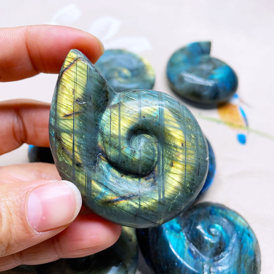 Wholesale Natural Crystal Carving Gemstone Crafts Labradorite Ammonite