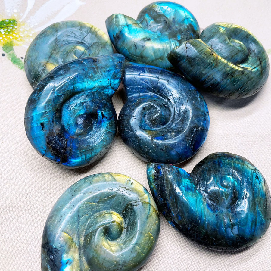 Wholesale Natural Crystal Carving Gemstone Crafts Labradorite Ammonite