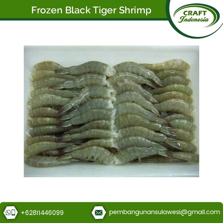 High Quality Certified Giant Frozen Black Tiger Shrimp