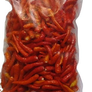 High Demand Best Quality Fresh Spicy Red Hot Chili for Bulk Purchase