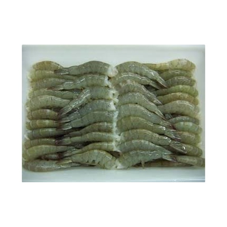 High Quality Certified Giant Frozen Black Tiger Shrimp