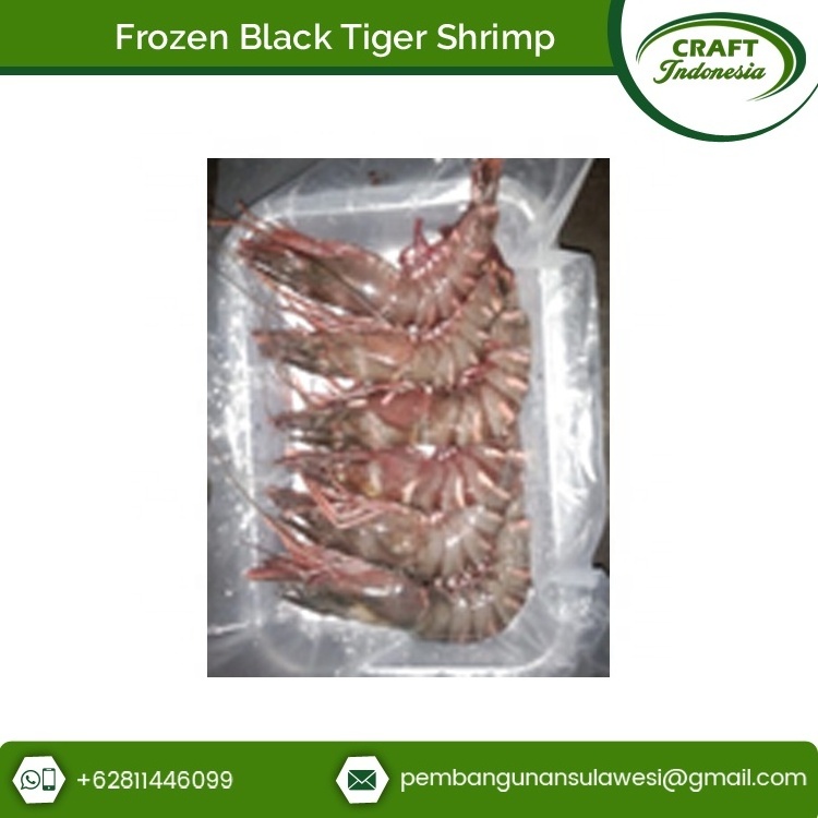 High Quality Certified Giant Frozen Black Tiger Shrimp