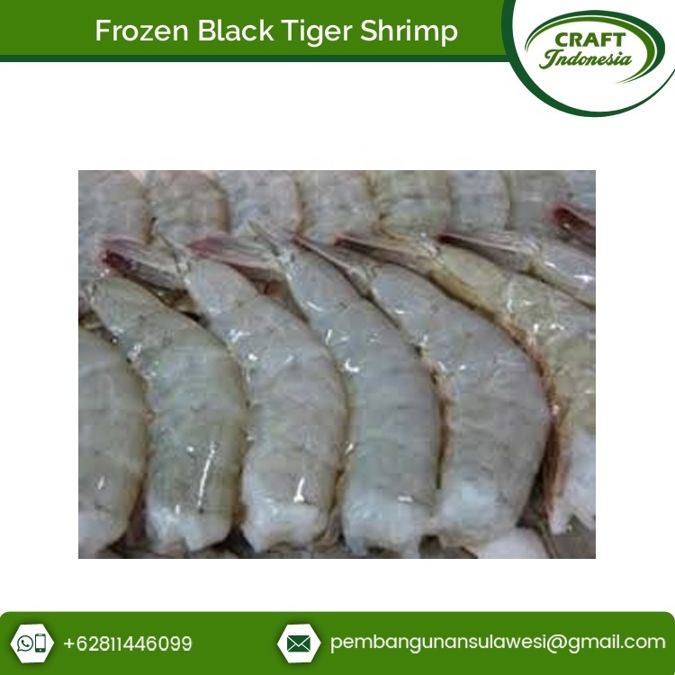 High Quality Certified Giant Frozen Black Tiger Shrimp