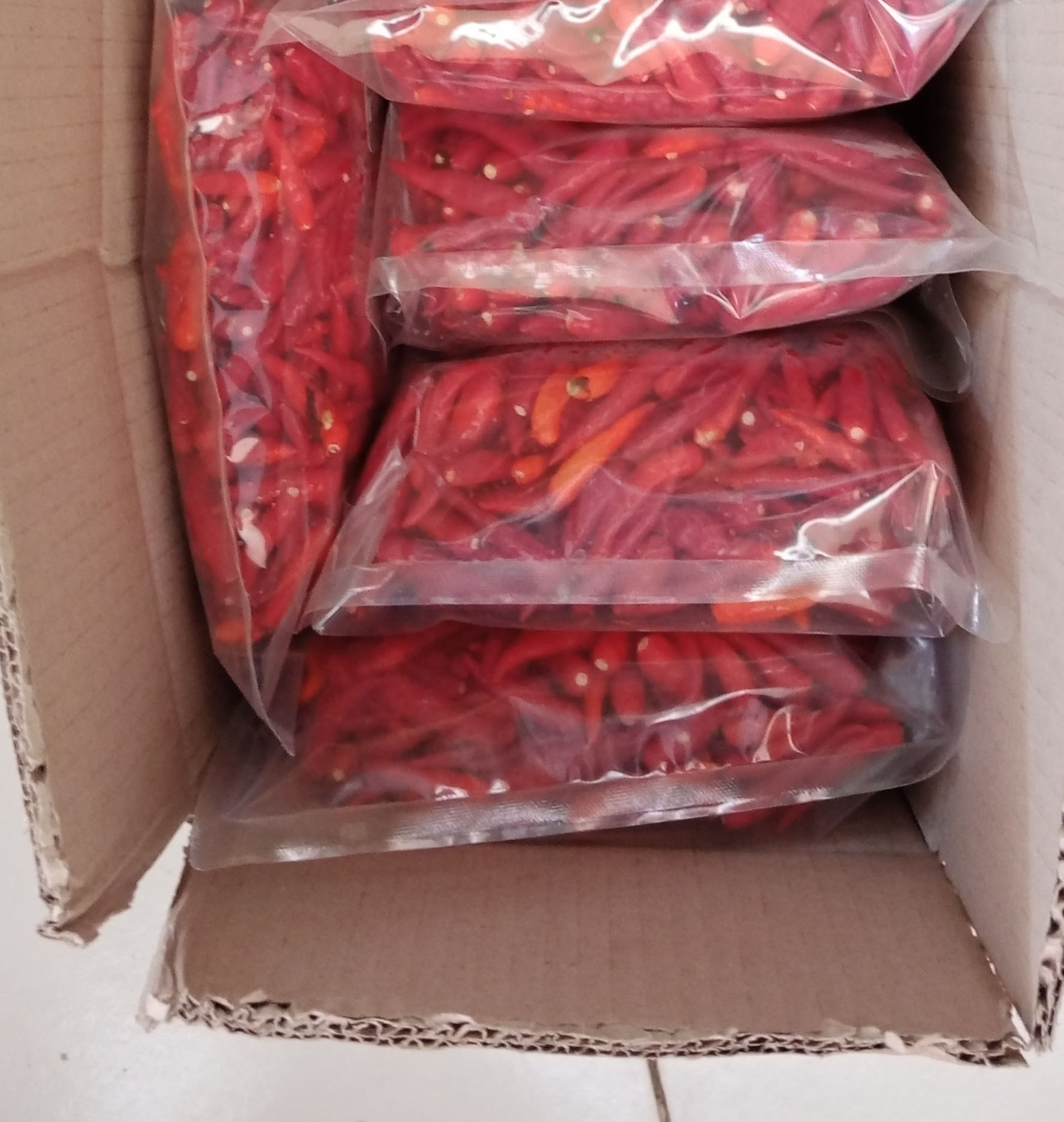 Bulk Stock Super Hot Fresh Red Chili Pepper from Trusted Exporter