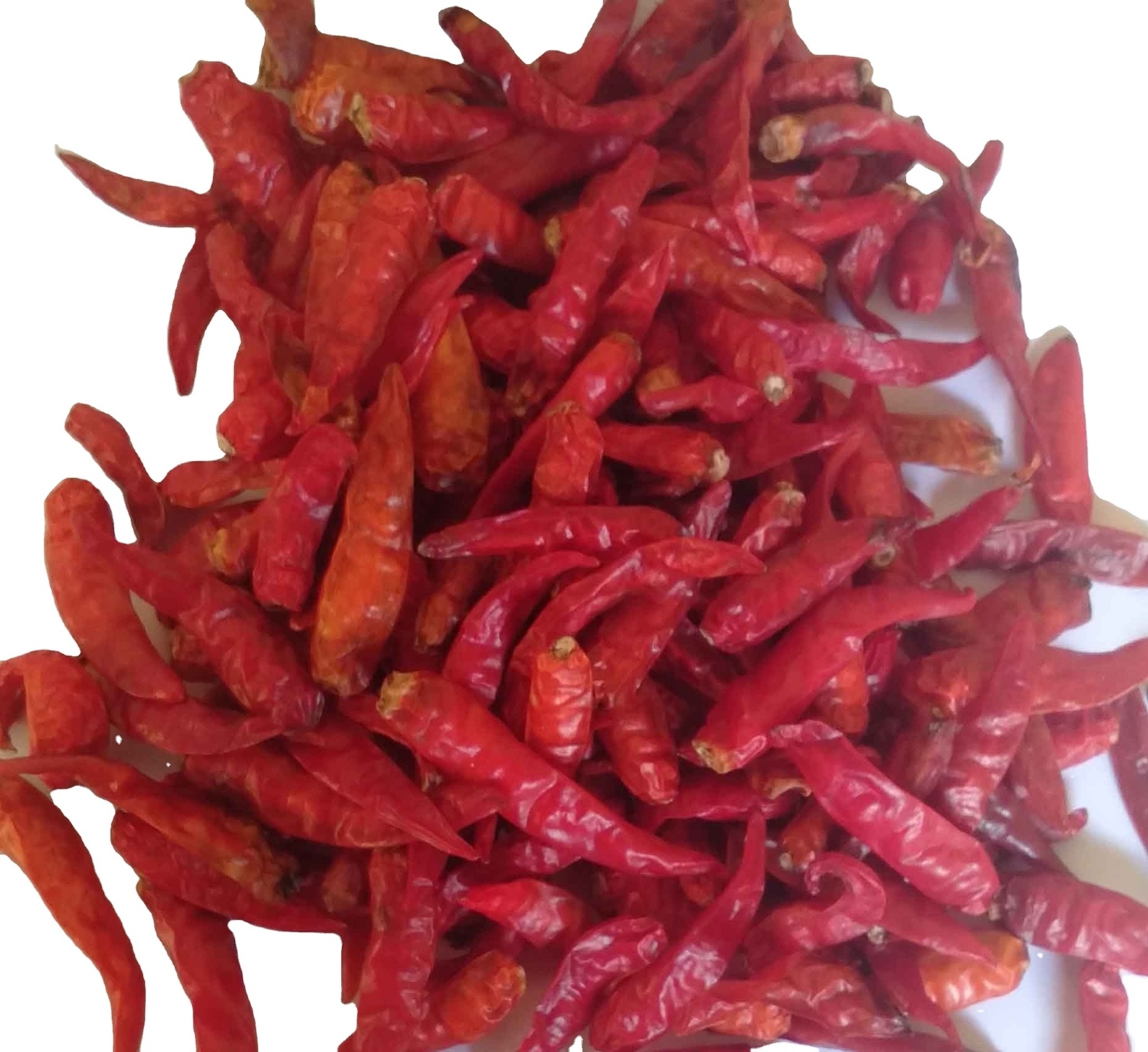 Dry hot Chili From Indonesia At Bulk Price