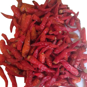 Dry hot Chili From Indonesia At Bulk Price