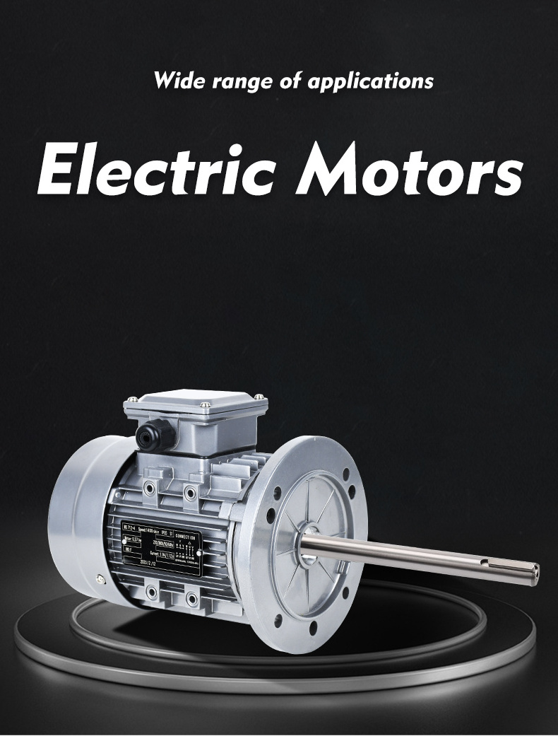 Ac Asynchronous Electric Motor Price Cast Iron Three-phase Motor Copper Wire 3 Speed induction motor