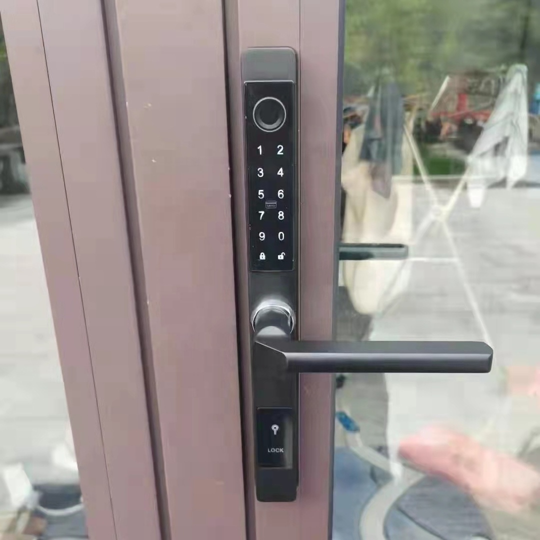 Aluminum Alloy Outdoor gate Waterproof IP65 EURO Keyless smart digital TTLOCK APP silm Fingerprint Lock For Sliding Door