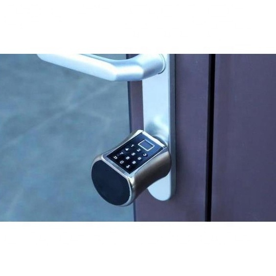 Electronic Keyless EU standard door Digital safe Euro key Smart European Cylinder Lock with fingerprint