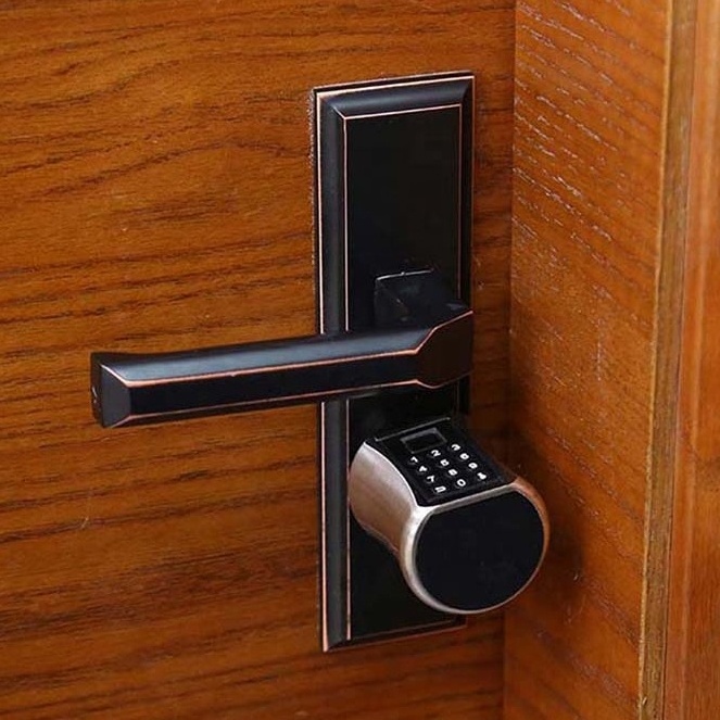 Electronic Keyless EU standard door Digital safe Euro key Smart European Cylinder Lock with fingerprint