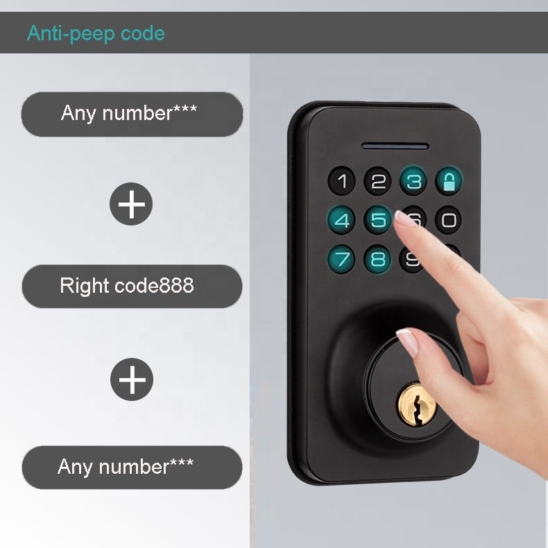 Intelligent USA Zinc Alloy electronic digital TUYA app wifi keypad keyless deadbolt smart code lock with tuya wifi