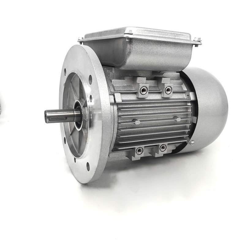 YL B35 Synchronous Frequency Asynchronous Ac Electric Motor 3 Phase Asynchronous Ac Electric Motor