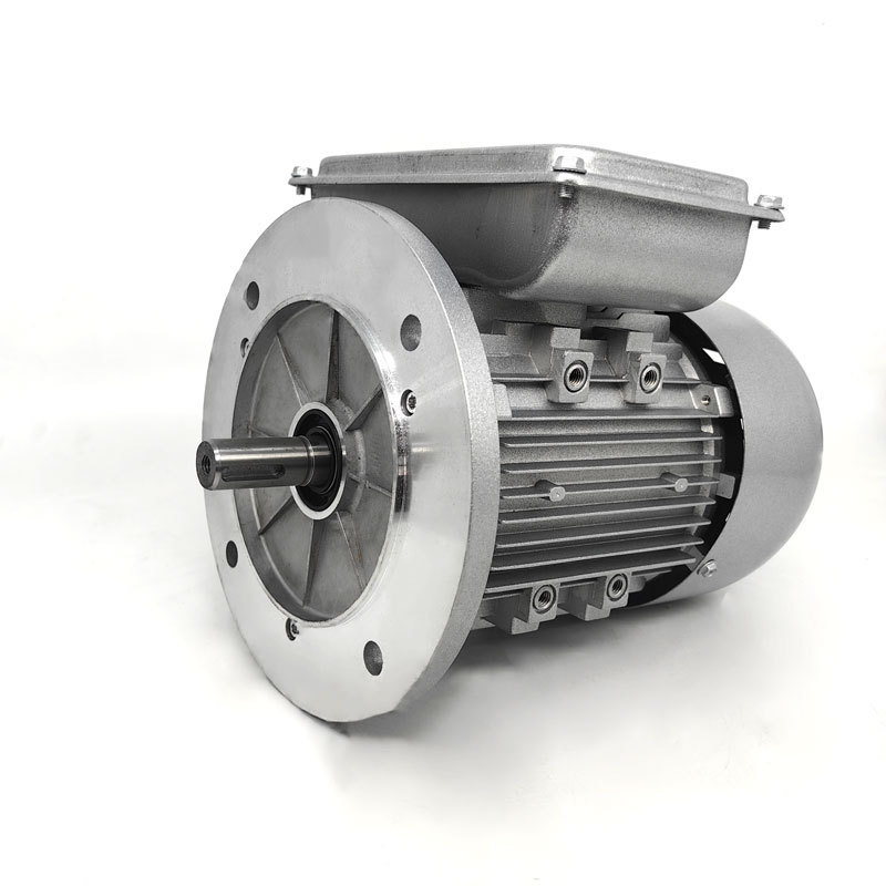 YL B35 Synchronous Frequency Asynchronous Ac Electric Motor 3 Phase Asynchronous Ac Electric Motor