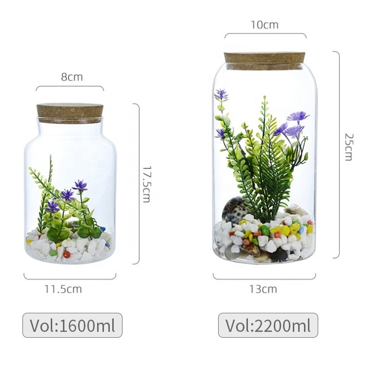 Hot Sale Clear Borosilicate Glass Jar Glass Vase for Wedding Tabletop Vase Home Decoration Glass Plant Terrariums With Cork Lid