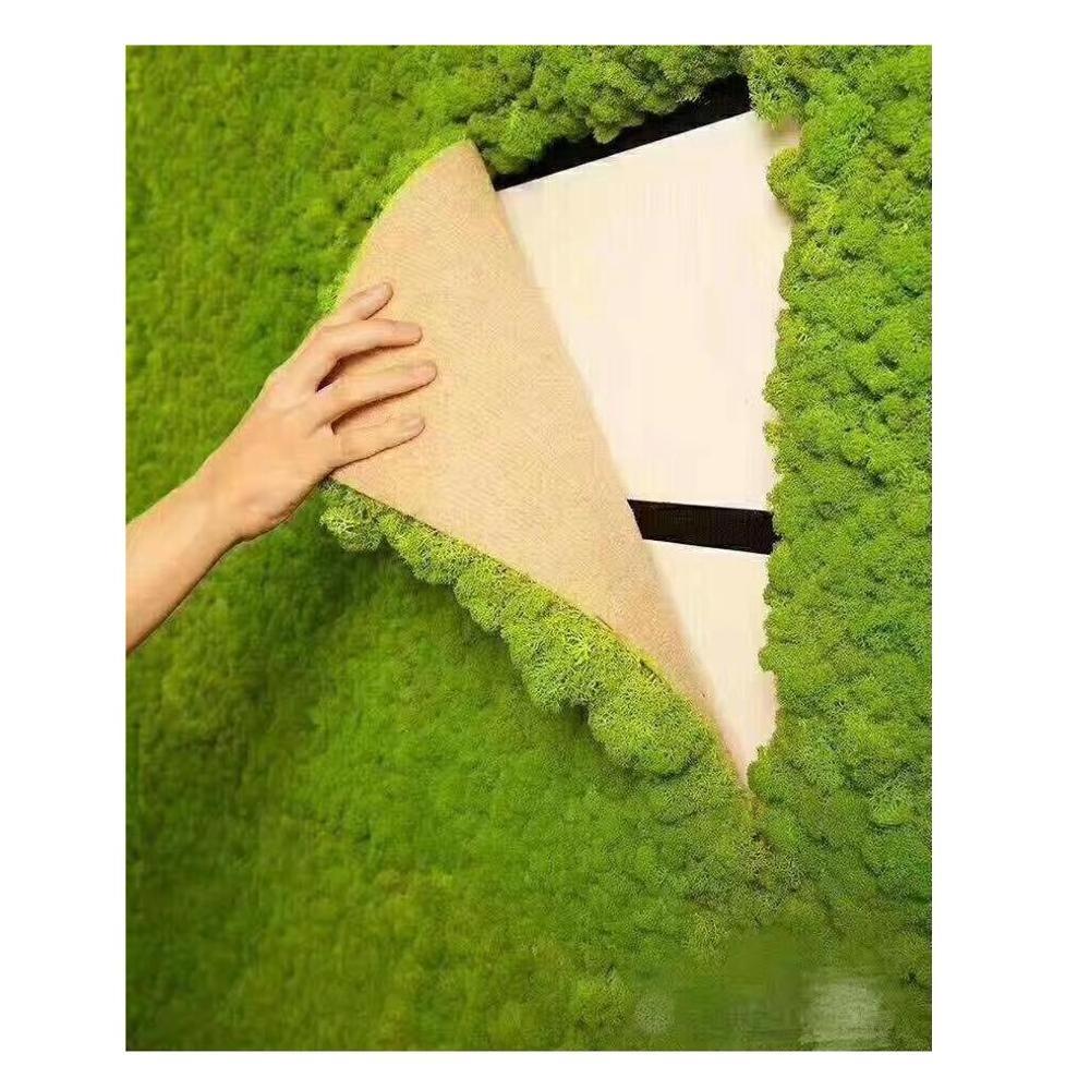 Kunming factory Wholesale house decoration preserved moss artificial moss grass panel