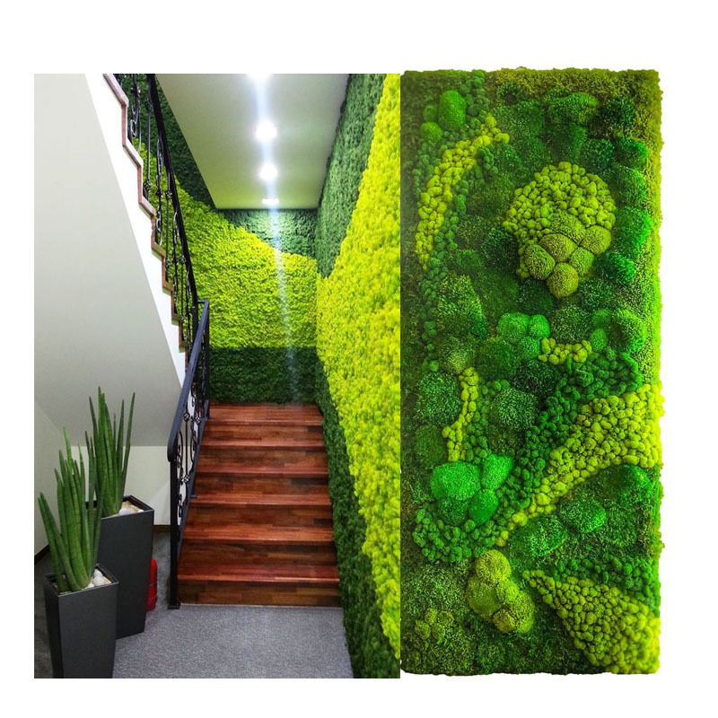 moss wall panel decoration preserved moss grass wall art home decor art wall decor